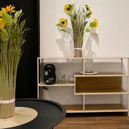 Capstay - - Grande Rue L Netflix - Wifi Apartment Roubaix